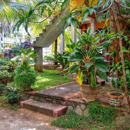 Sigiri Regal Residence Sigiriya Ngoại thất bức ảnh