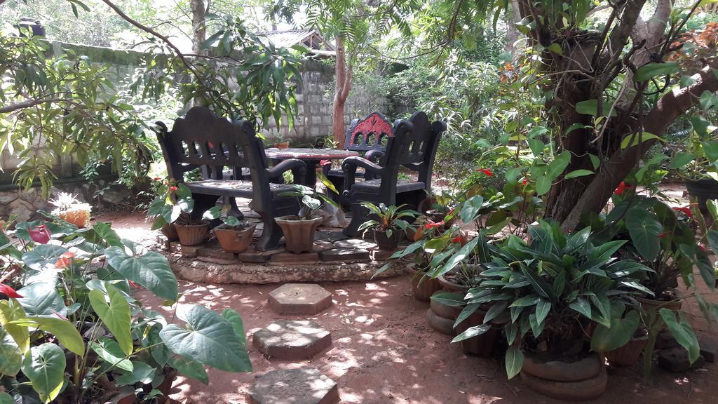 Sigiri Regal Residence Sigiriya Ngoại thất bức ảnh