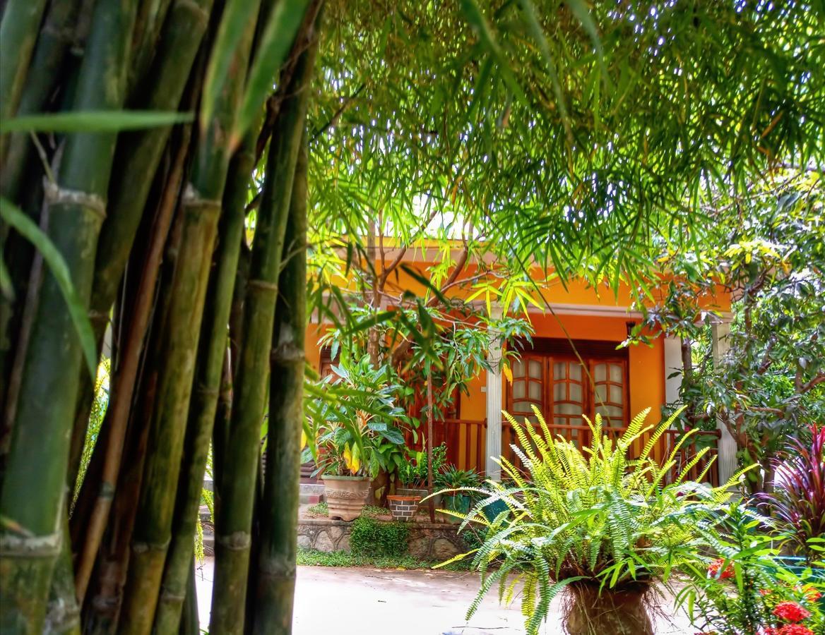 Sigiri Regal Residence Sigiriya Ngoại thất bức ảnh