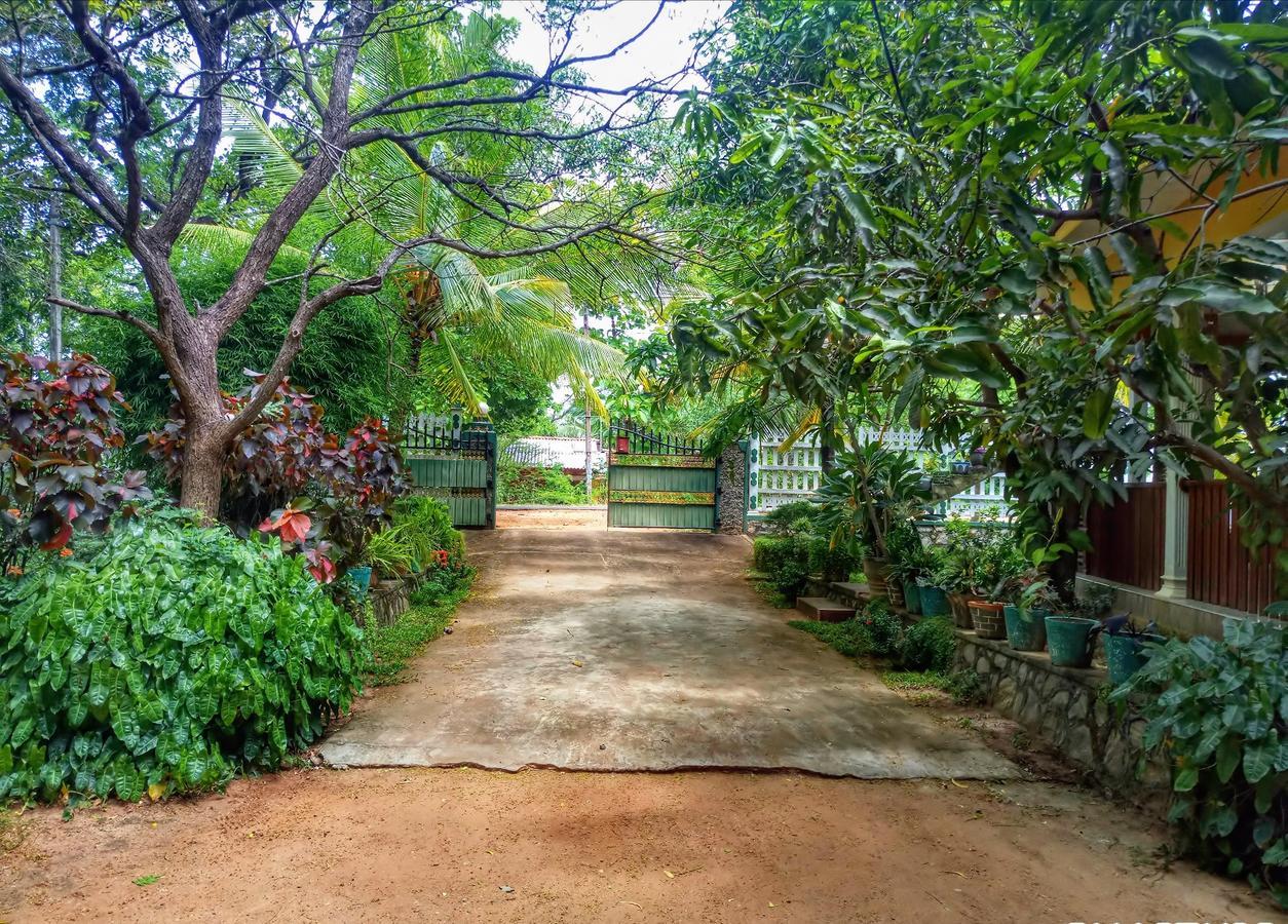 Sigiri Regal Residence Sigiriya Ngoại thất bức ảnh